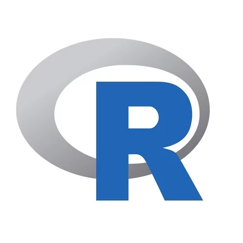 R Language Certification Exam